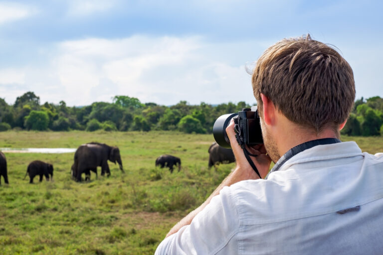 man with budget camera taking picture of wildlife