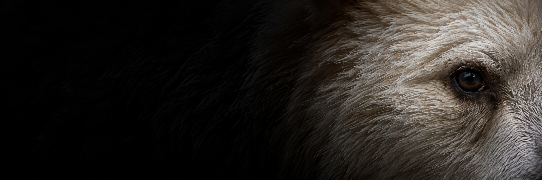 Quote background